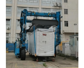 非标定制产品-湖南集装箱吊机